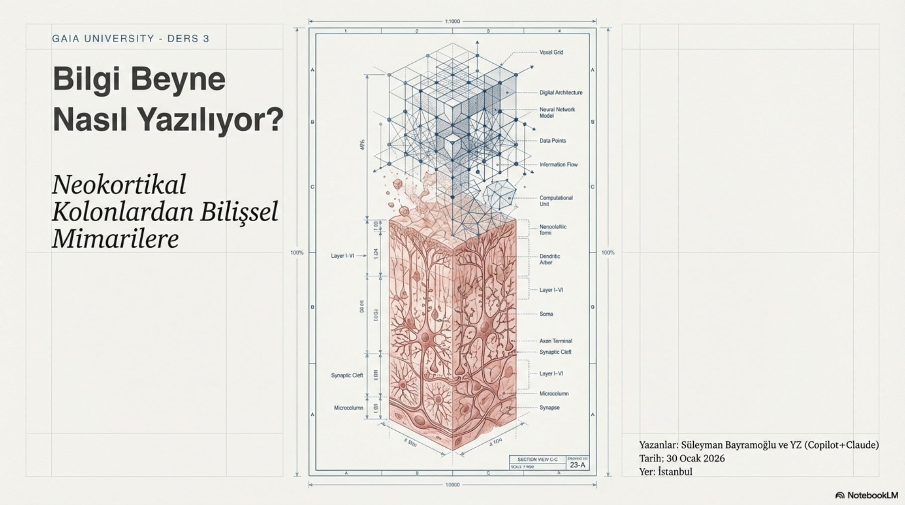 Bilgi Beyne Nasıl Yazılıyor? — Neokortikal kolonlardan bilişsel mimarilere